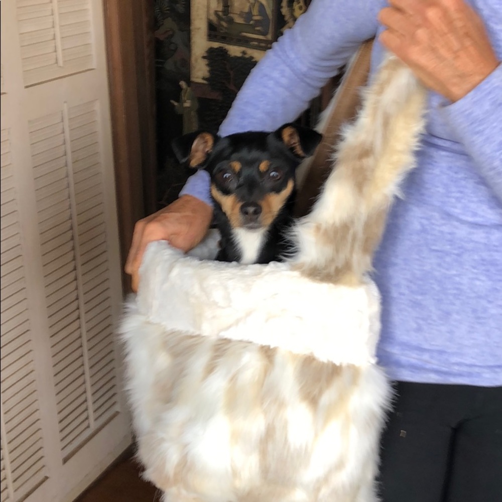 Custom pet purse/carrier